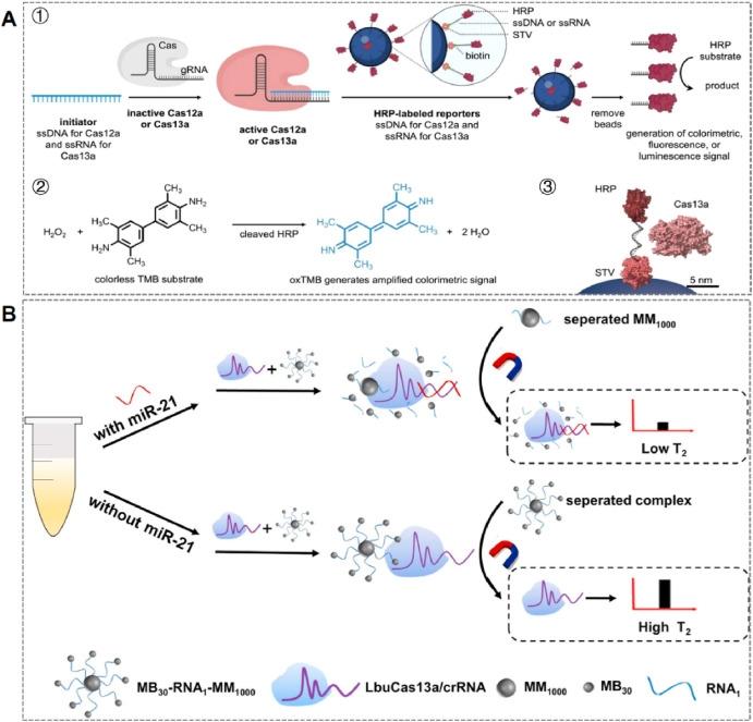 نظام الفصل المغناطيسي
