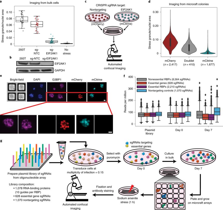 جهاز تصوير الجل من مختبر الأدوية