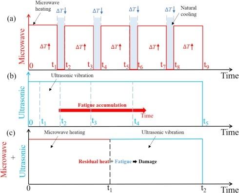 معطل الخلايا الموجات فوق الصوتية المركزة