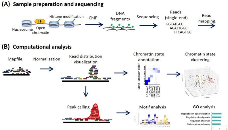 استكشاف أخطاء ChIP-Seq