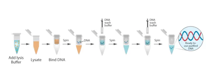 Nucleic Acid Extraction